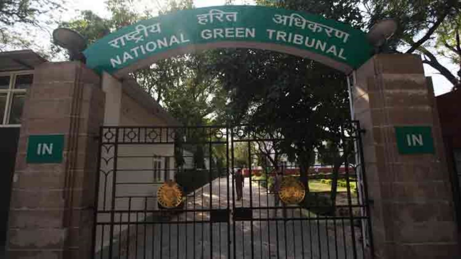 ‘Like giving Louis Vuitton to the starving': NGT slams DPCC for spending green fund on ads