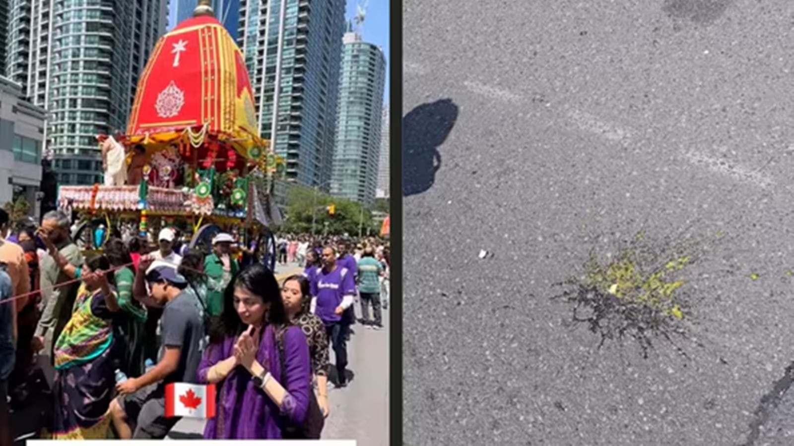 ‘Despicable acts': India denounces eggs being thrown at Rath Yatra in Toronto