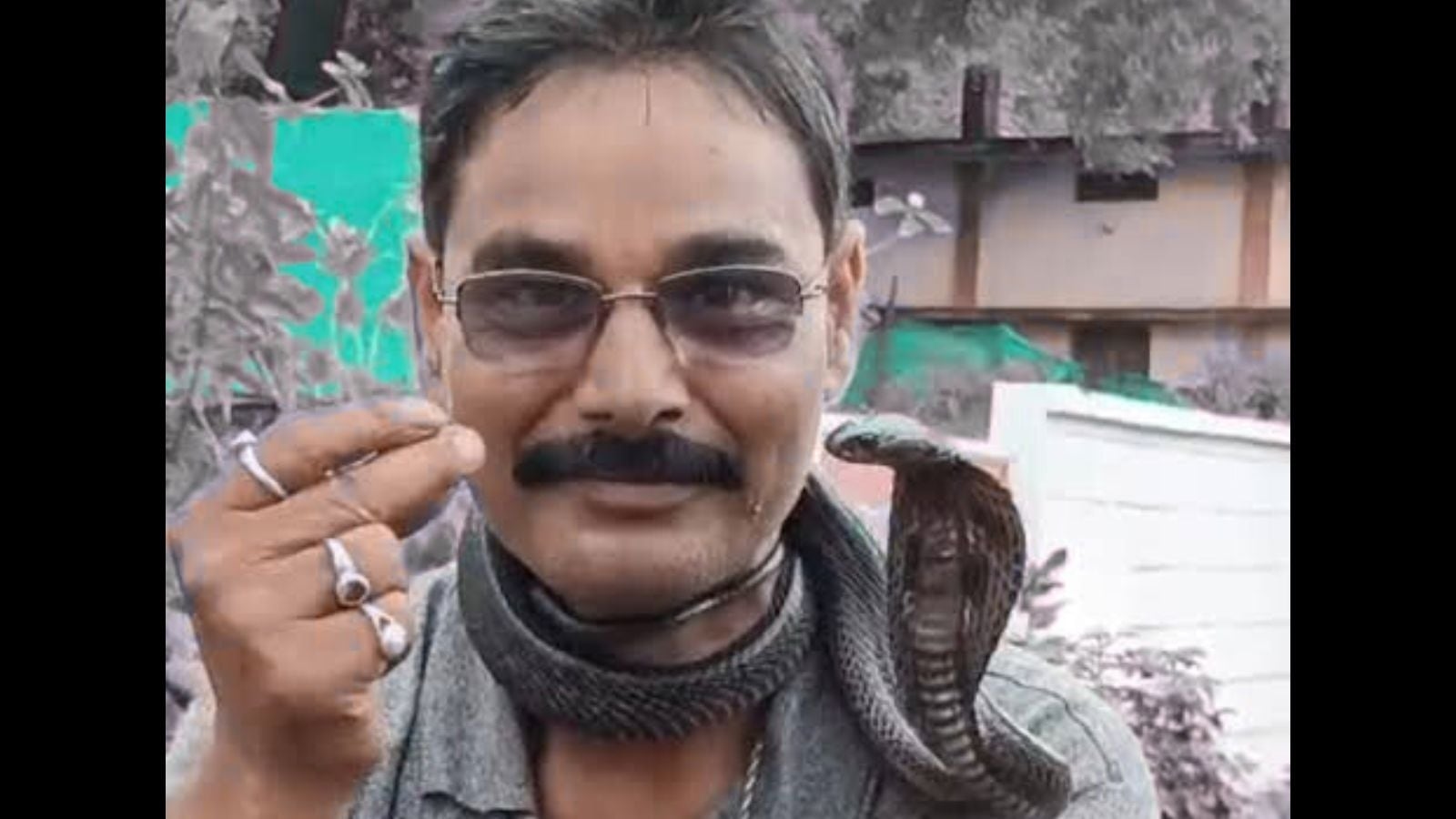 Cobra around his neck, part-time snake rescuer's hasty mistake costs him his life