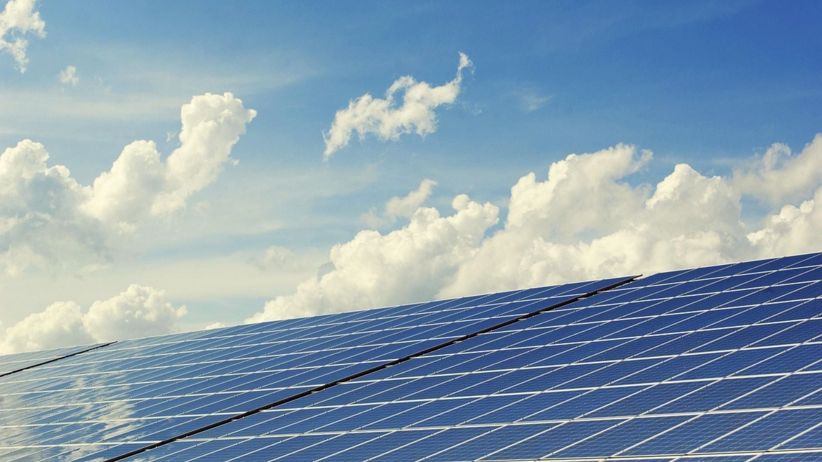 Renewables boost: NTPC can now invest Rs 20,000 crore, NLC India Rs 7,000 crore after Cabinet approval