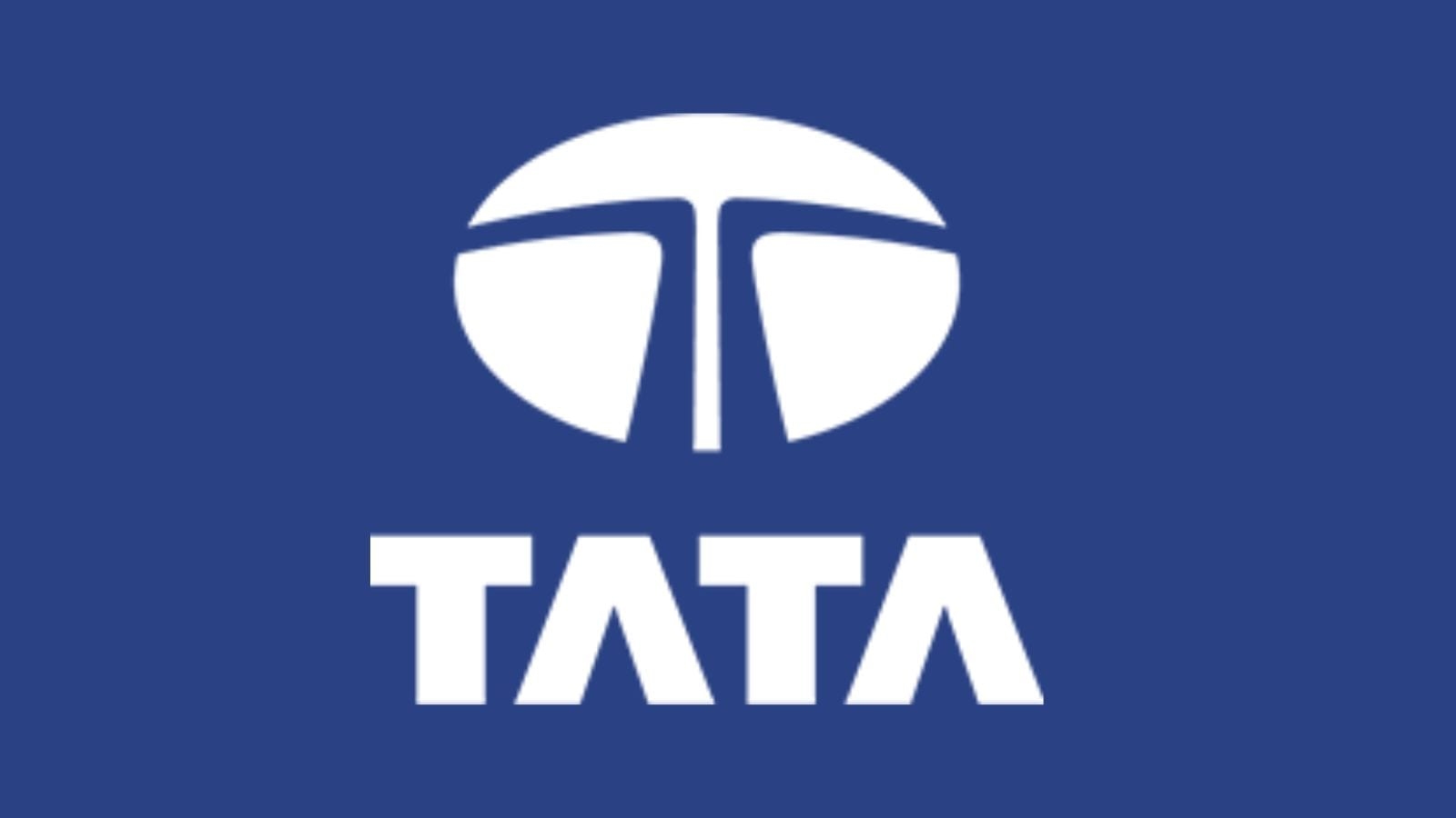Tata Motors vs Tata Elxsi vs TCS: Which Tata stock offers high dividend, mcap and returns?