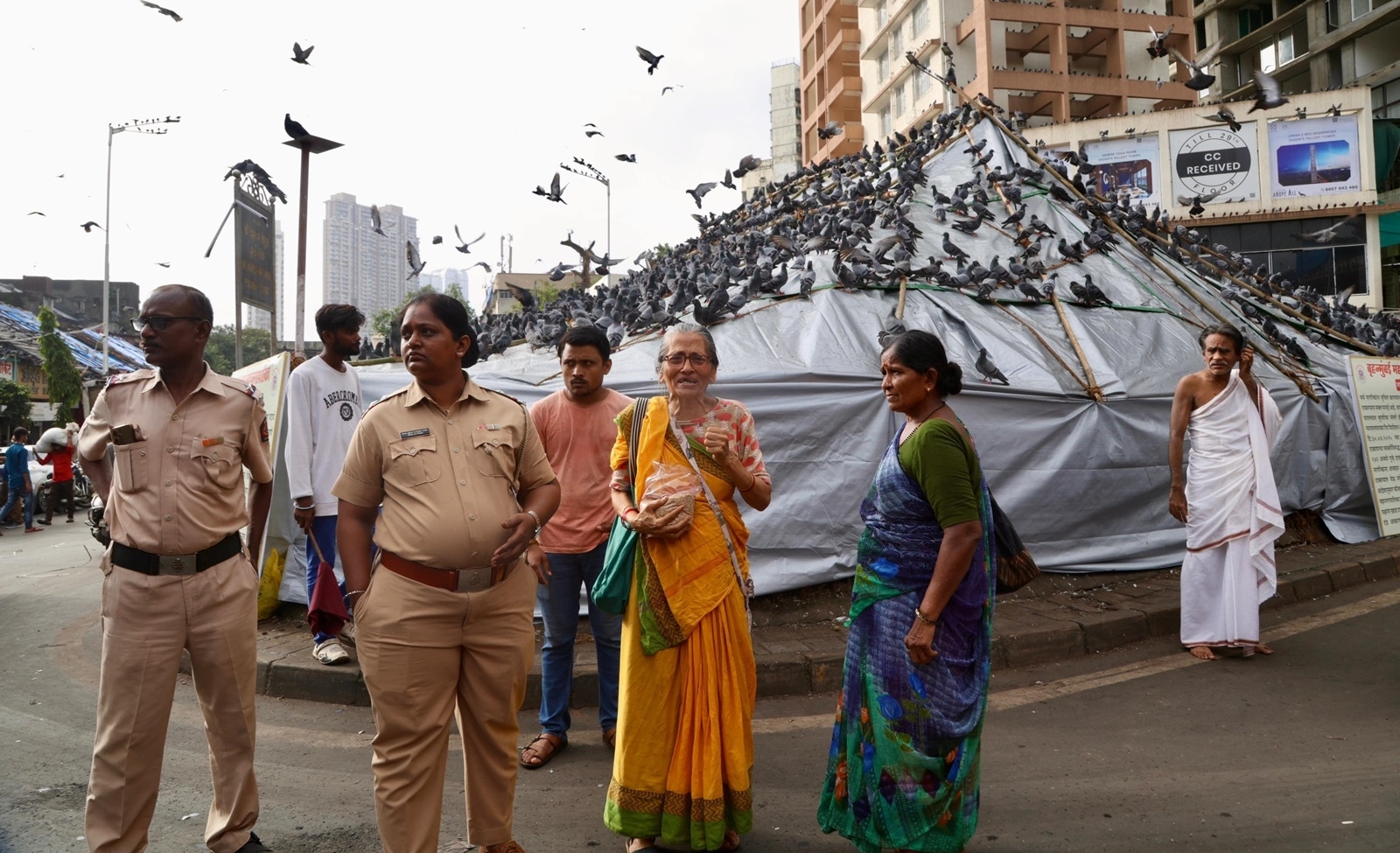Over 140 fined for illegally feeding pigeons in Mumbai