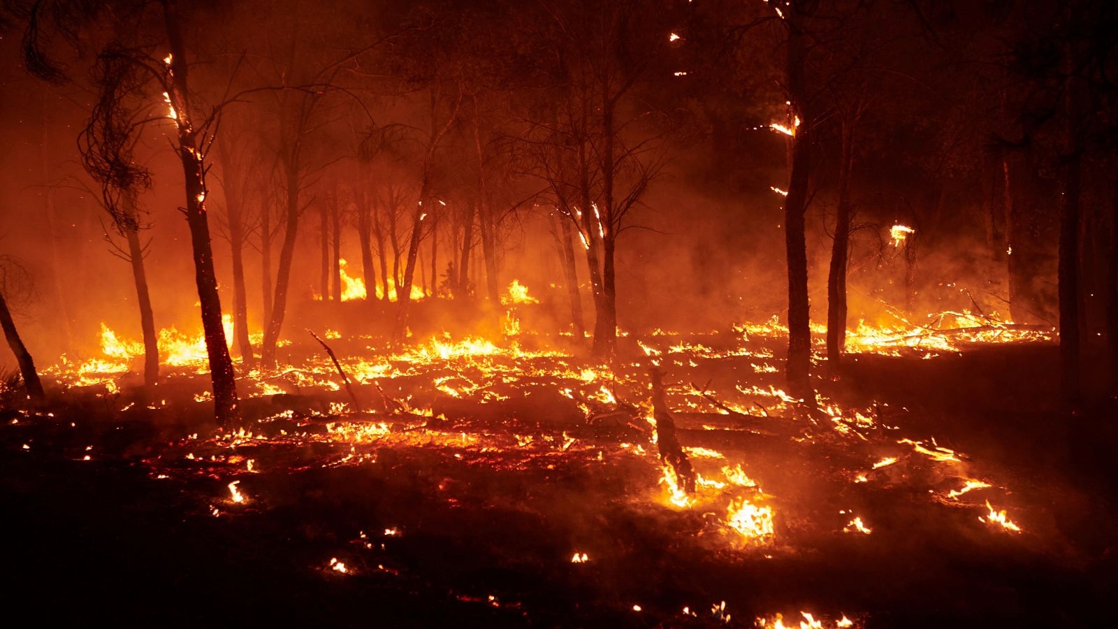 Wildfires sweep southern Europe, killing at least 3, forcing mass evacuations