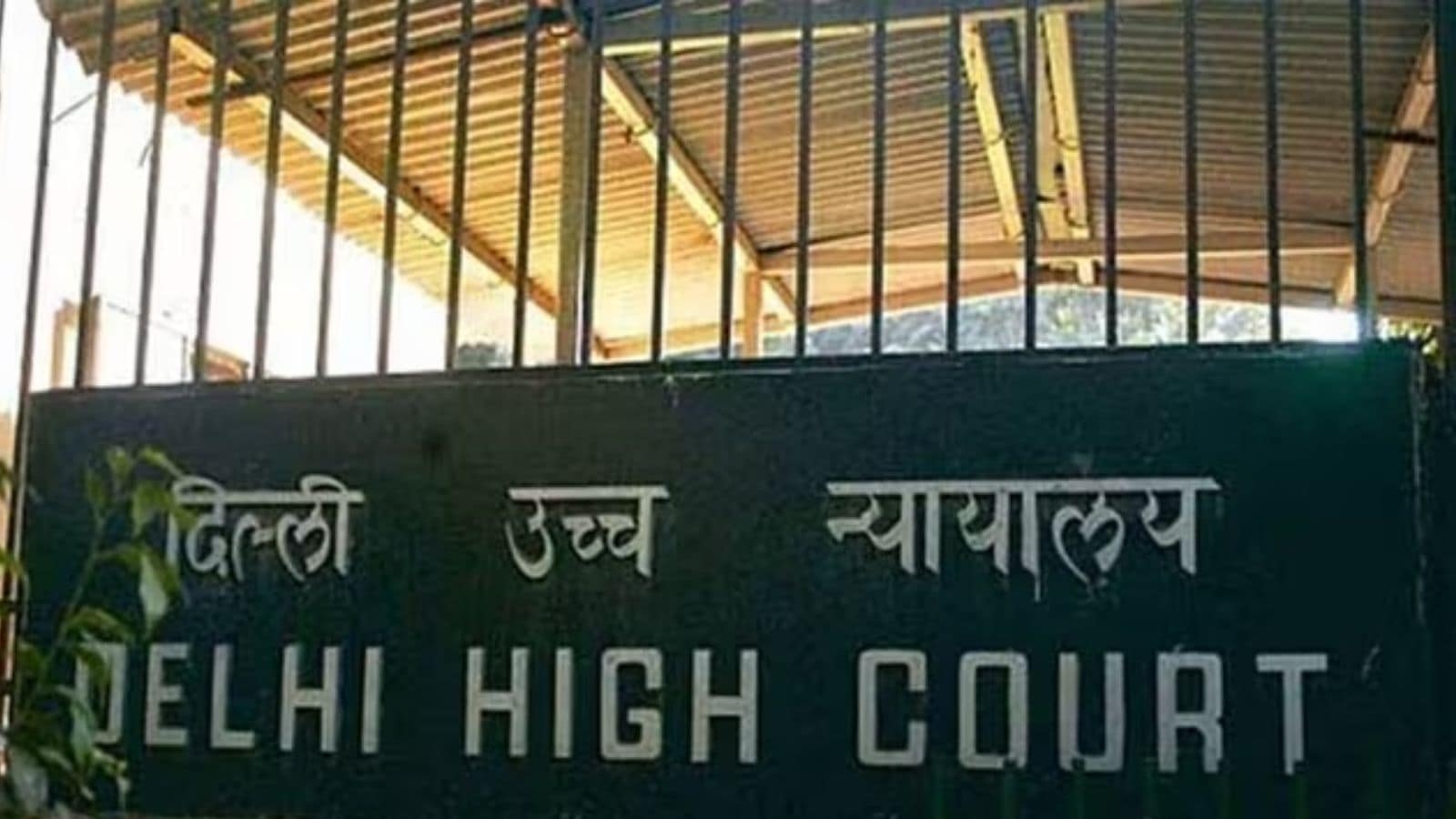 Delhi HC pulls up police for separating interfaith couple: ‘If couple wants marriage, will protect them' rules judge