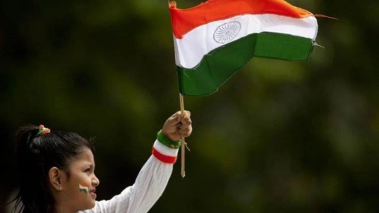 In a first, Independence Day celebrations will be held in Chhattisgarh villages where Naxals reigned supreme