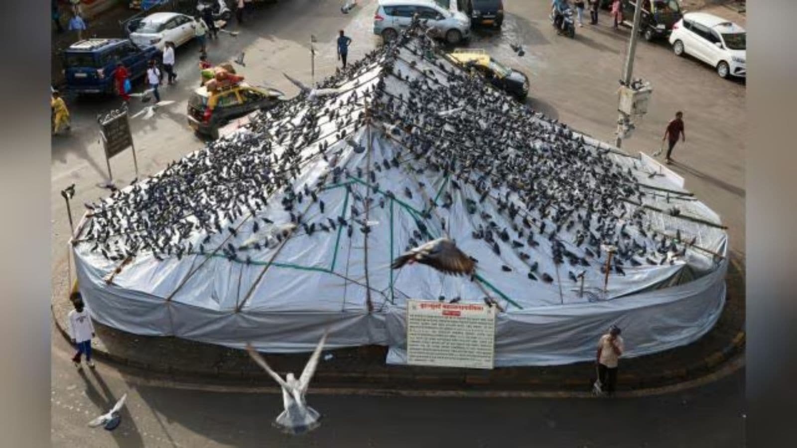 Protest erupts at Dadar Kabutarkhana after protesters try to feed pigeons forcibly