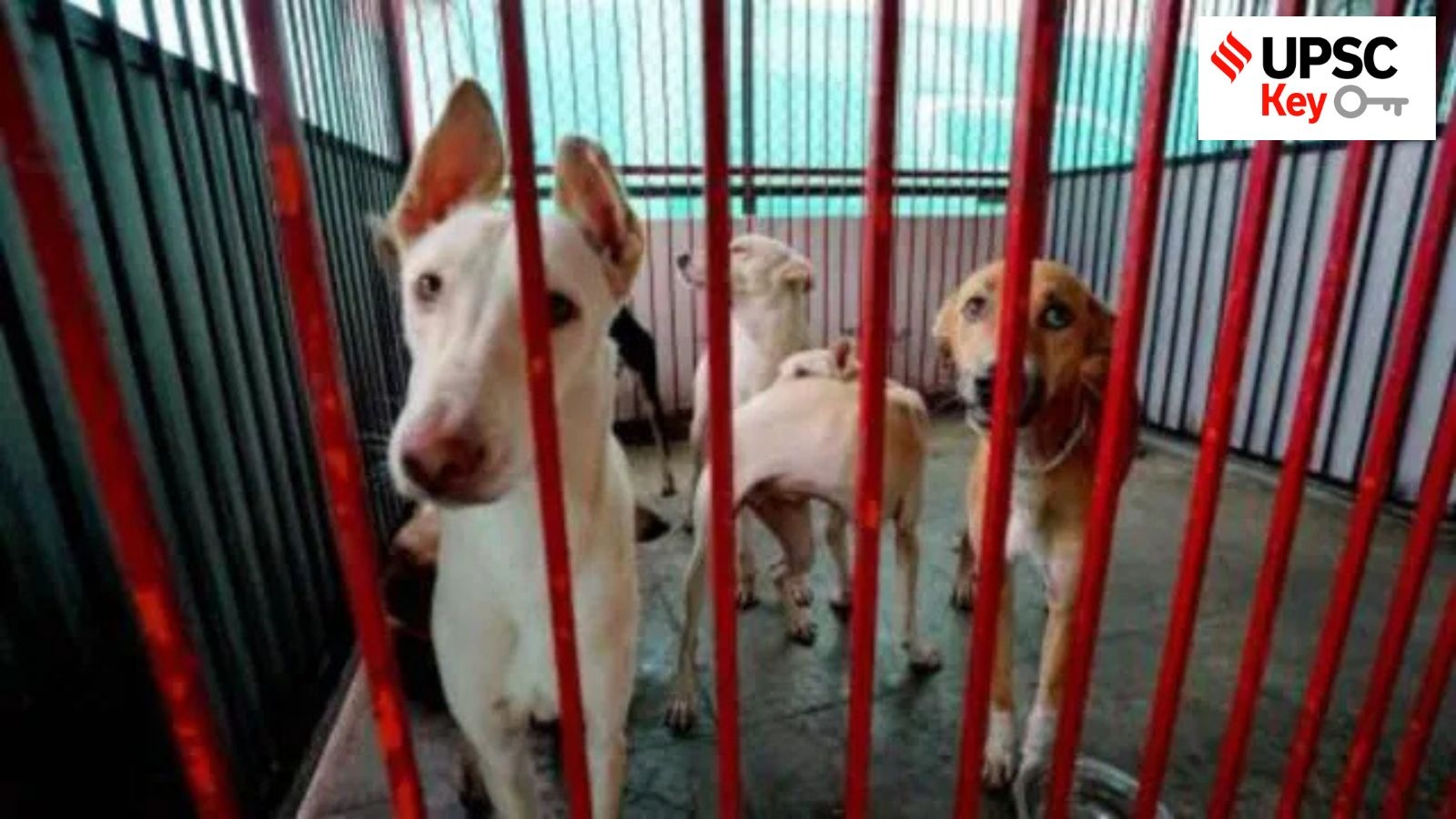 UPSC Key: SC on stray dogs, Etalin hydroelectric project, and Climate change
