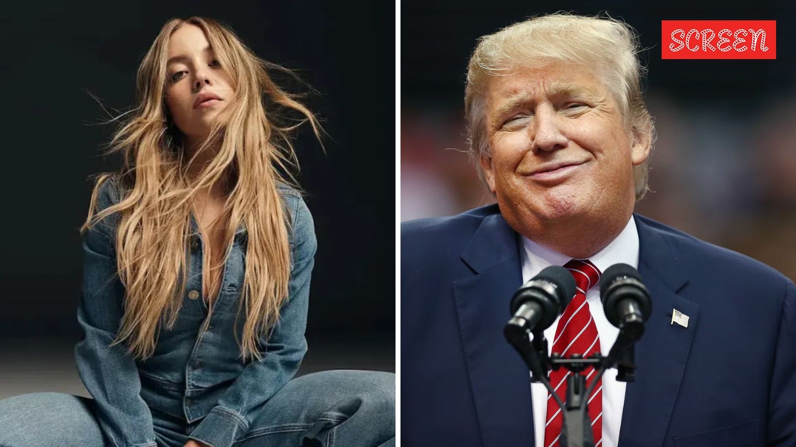 ‘Call Sydney Sweeney a fascist, and another 20-year-old comes in Trump's support': Charlie Kirk slams Beyoncé as ‘artificial' over Levi's ad