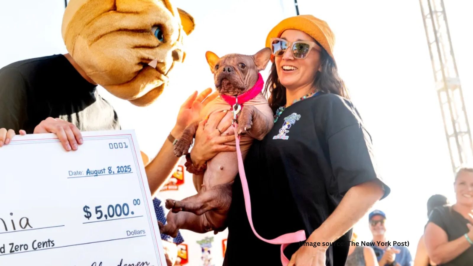 Meet Petunia, the 2-year-old hairless dog crowned ‘world's ugliest'