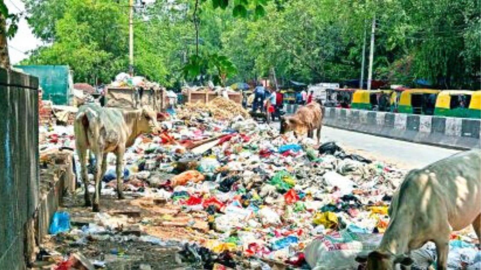 Sanitation drives in Delhi's slum clusters, commercial hubs, public toilets: How MCD's campaign removed 12,000 tonnes waste daily