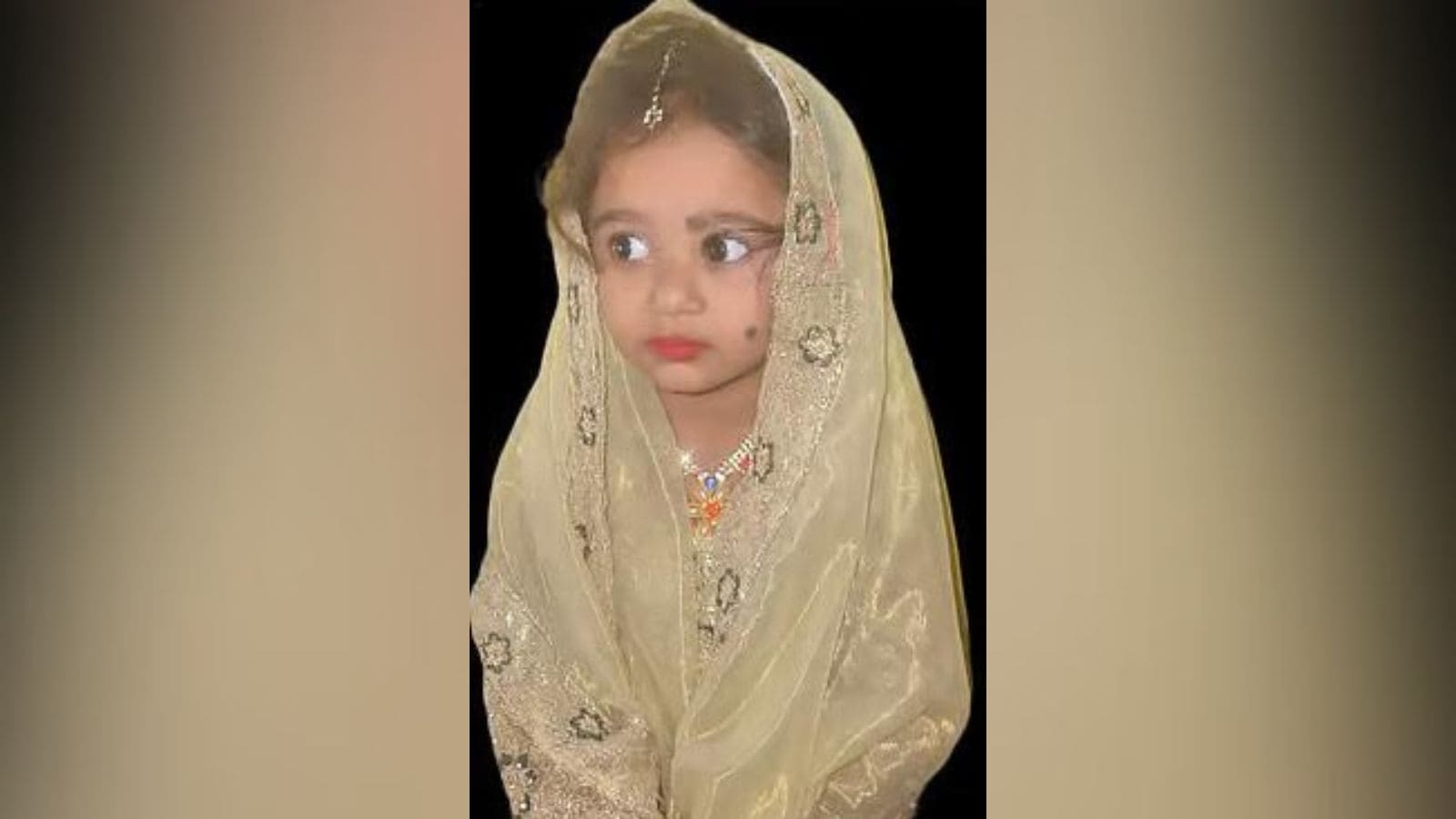 Bitten by stray dogs, 4-year-old girl succumbs to rabies in Bengaluru