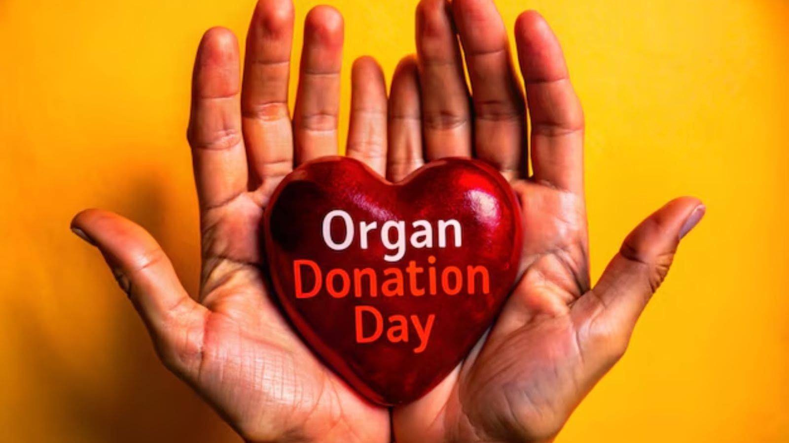 World Organ Donation Day: What developing nations can learn from India's organ transplant policy