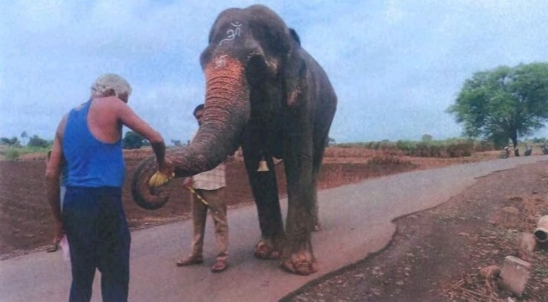 Maharashtra will file review petition to bring back elephant Madhuri from Vantara: Fadnavis