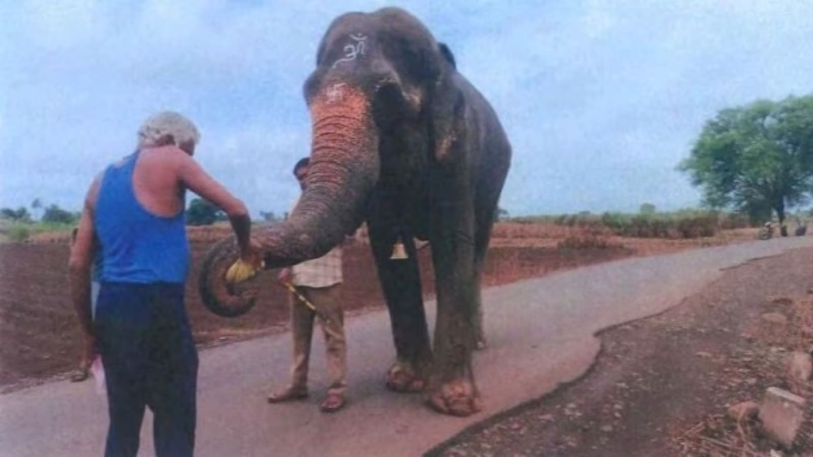 ‘Didn't initiate or recommend the relocation': Vantara offers to set up rescue centre for elephant Madhuri in Kolhapur