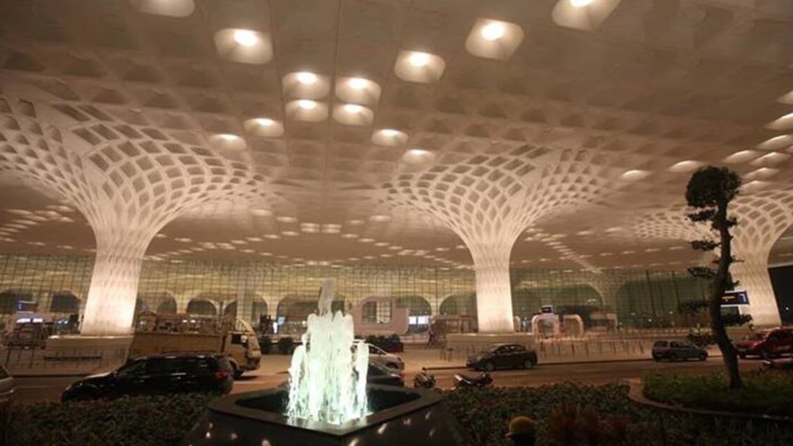 World's smallest monkey, honey bear, red-eared turtle: What Customs at Mumbai airport found from bag of passenger arriving from Bangkok