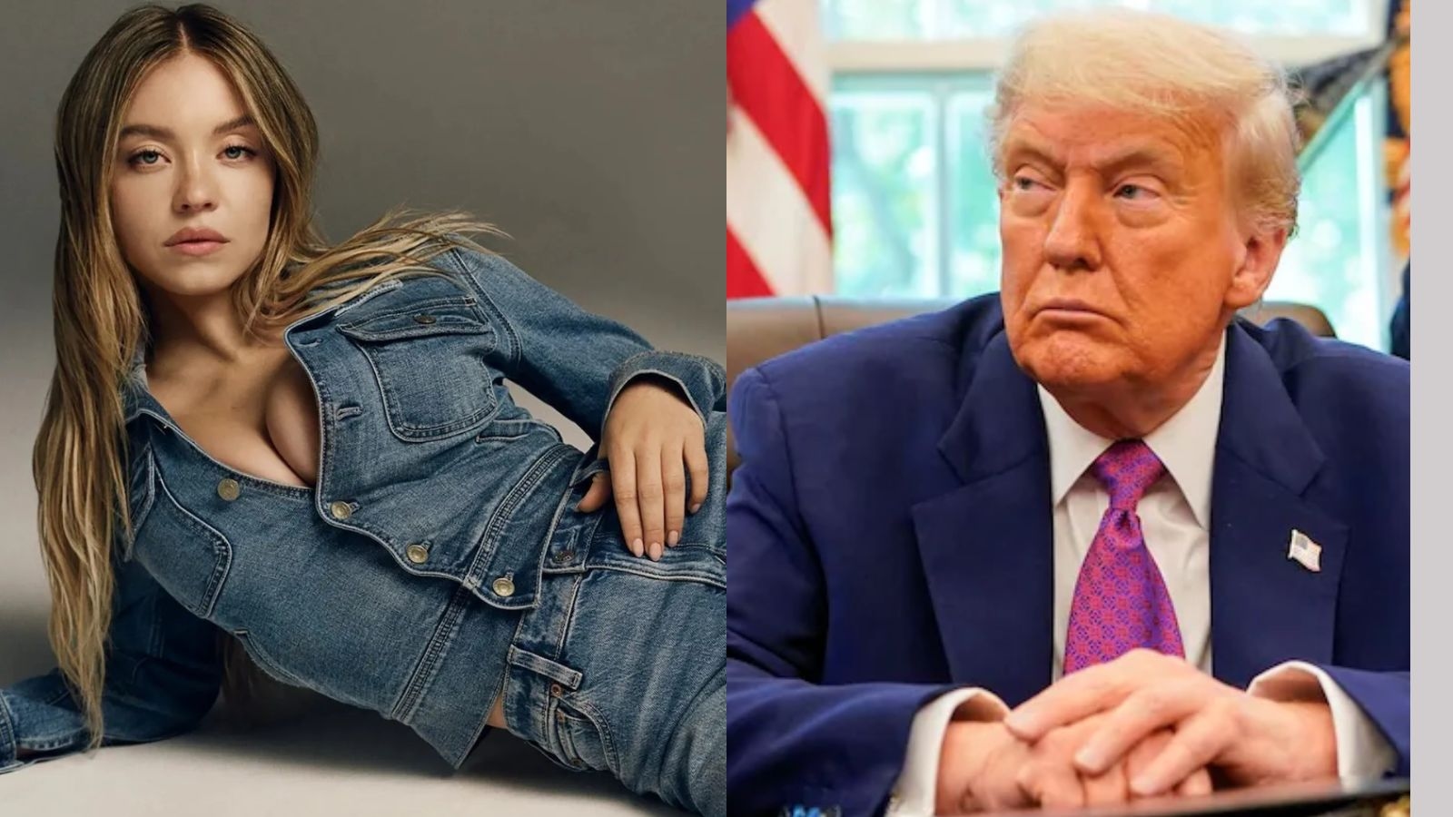 ‘Her ad is fantastic': Trump on learning that Sydney Sweeney is a registered Republican