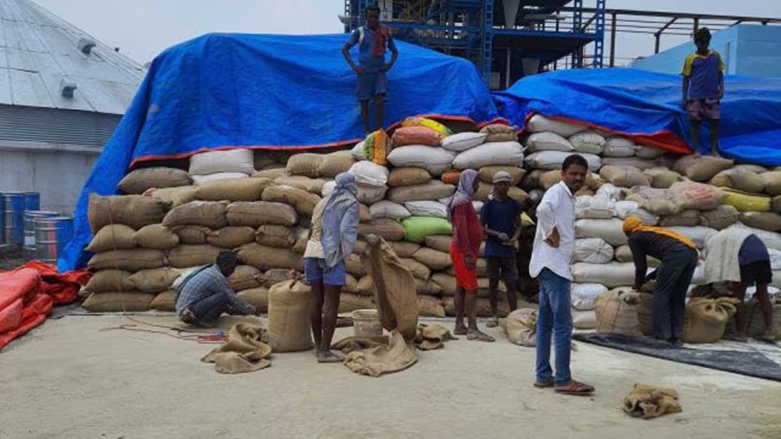 Counting on bumper crop, sugar industry pins hopes on exports, ethanol push