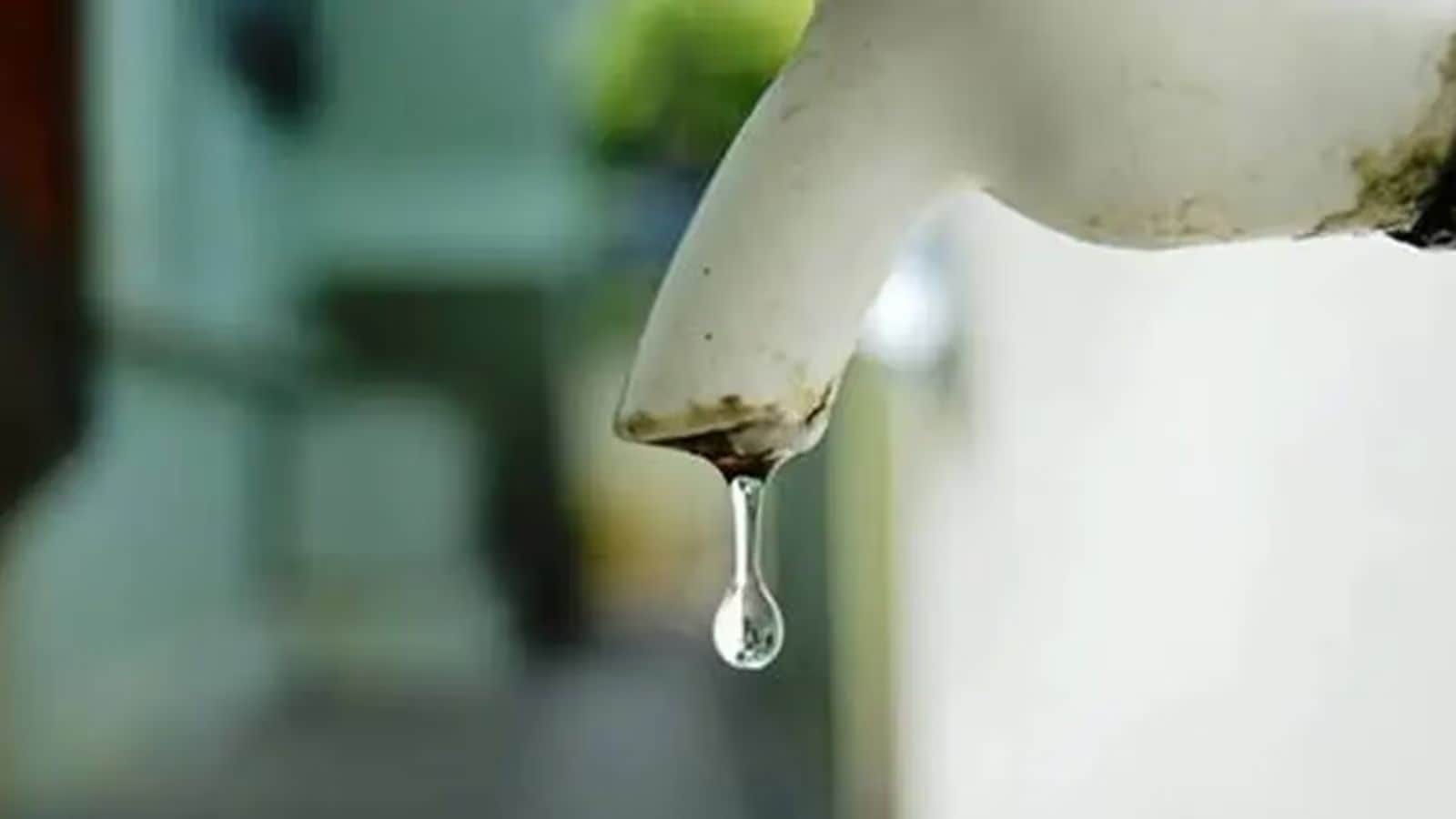 Wastewater surveillance, key tool to spy on diseases, will now cover 50 cities: How will this help prevent outbreaks?