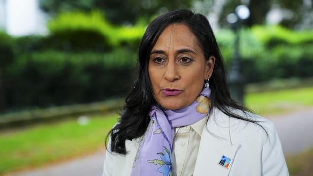 Minister 'concerned' about Iranian terrorist cells in Canada after U.S. airstrikes