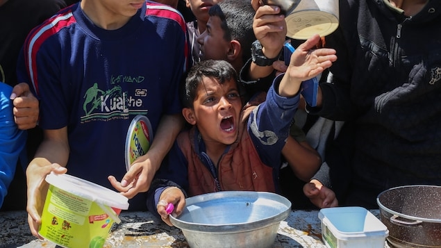 كندا و24 دولة أخرى تدعو إلى إنهاء الحرب في غزة فوراً