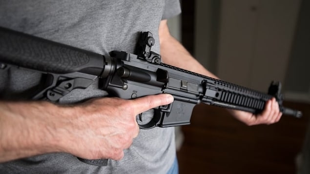 No banned firearms have been sent to Ukraine, despite government promise