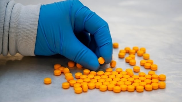 B.C. court certifies Canada-wide class-action suit against McKinsey for alleged opioid promotion