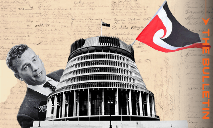 Act takes a victory lap as Waitangi Tribunal faces government review