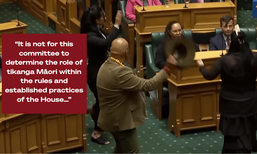 The many inconsistencies in Te Pāti Māori MPs' haka suspensions