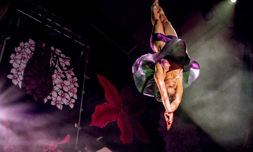 Haus of Yolo successfully struts its stuff in new suburban space