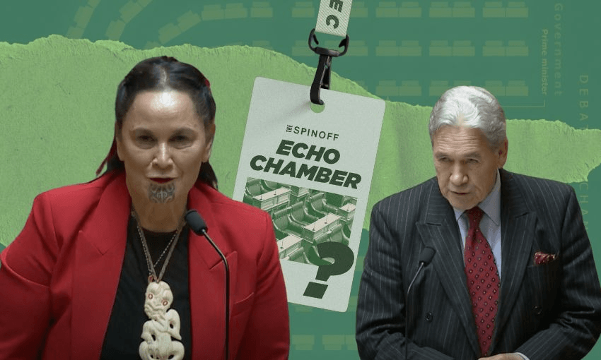 Echo Chamber: Te Pāti Māori gets the last laugh