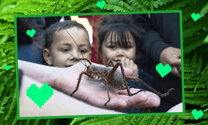 Why Homo sapiens are Auckland Zoo's priority species