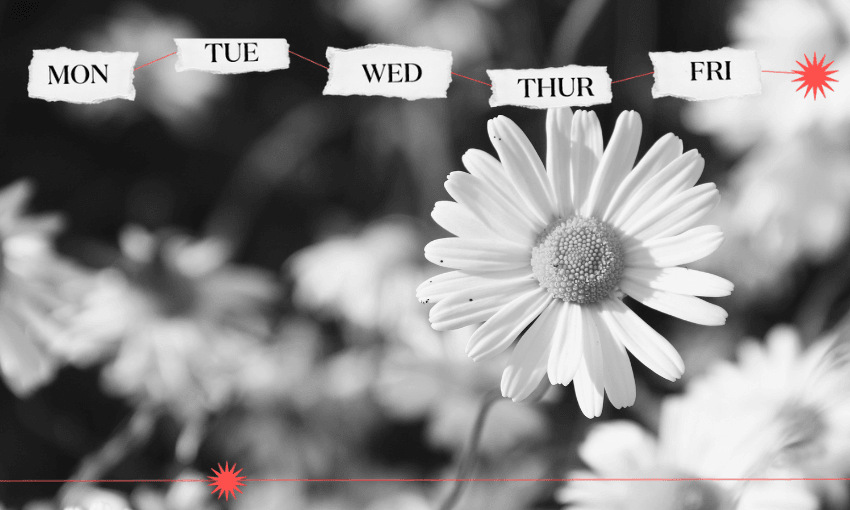 The Weekend: Dignity in death shouldn't be so hard