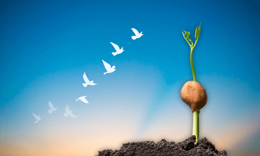 Reclaiming the sacred: How we can begin to decolonise ourselves