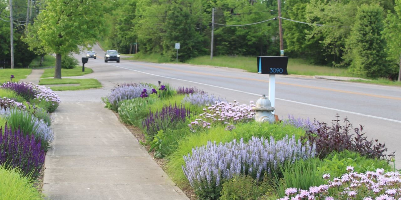 How a ‘Hellstrip' Garden Can Transform Your Home's Curb Appeal