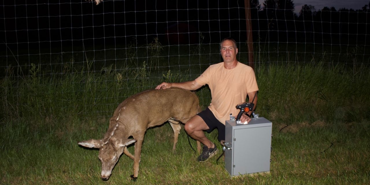 How to Catch a Wily Poacher in a Sting: A Thermal Robotic Deer