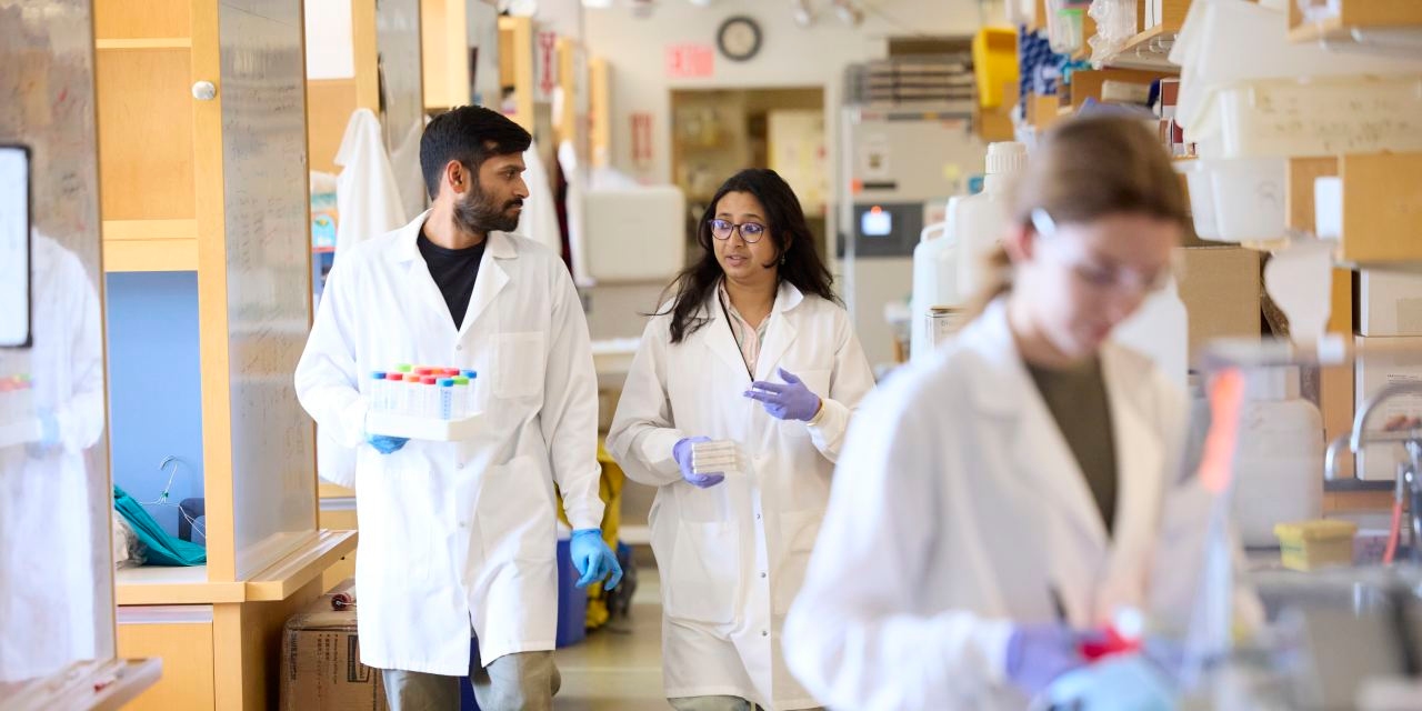 Harvard Is Asking Corporations to Fill Its Federal Funding Gap
