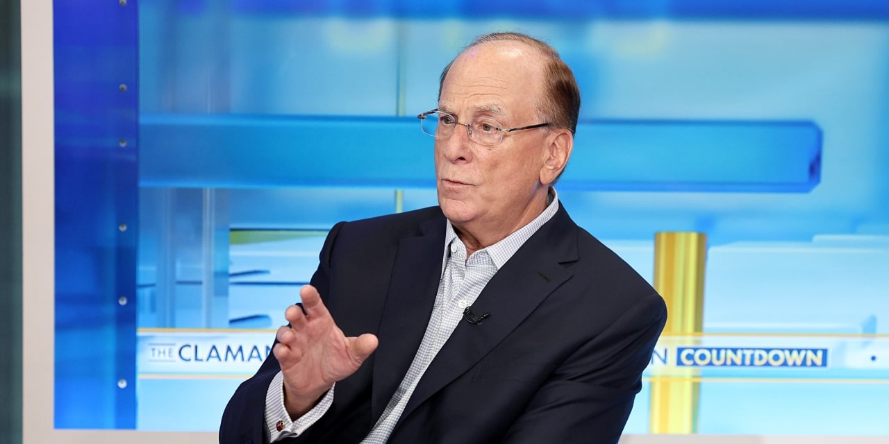 BlackRock Deepens Push Into Private Investments for the Masses