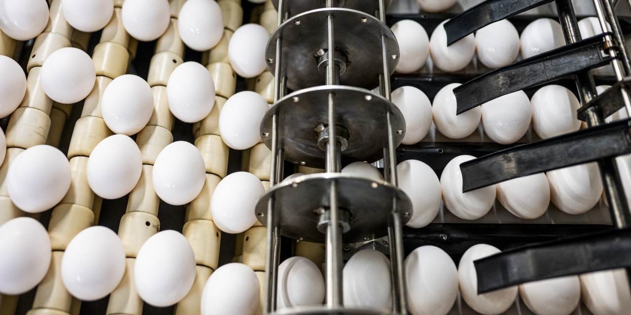 There's a National Egg Crisis, and One Company Is Making a Lot of Money