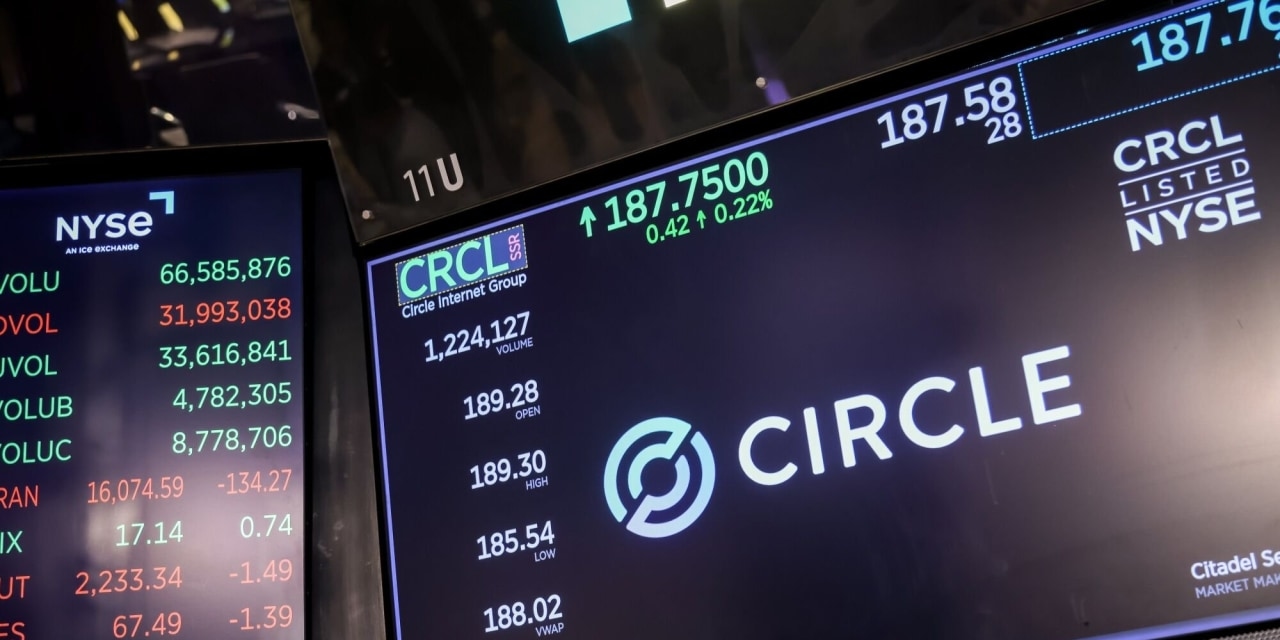FIS, Circle Partner to Offer Stablecoin Transactions to Financial Institutions