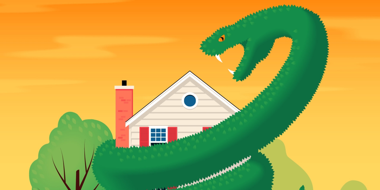 Why Shrubs and Hedges Around Your Home's Foundation Are Quietly Wrecking It—and What to Do