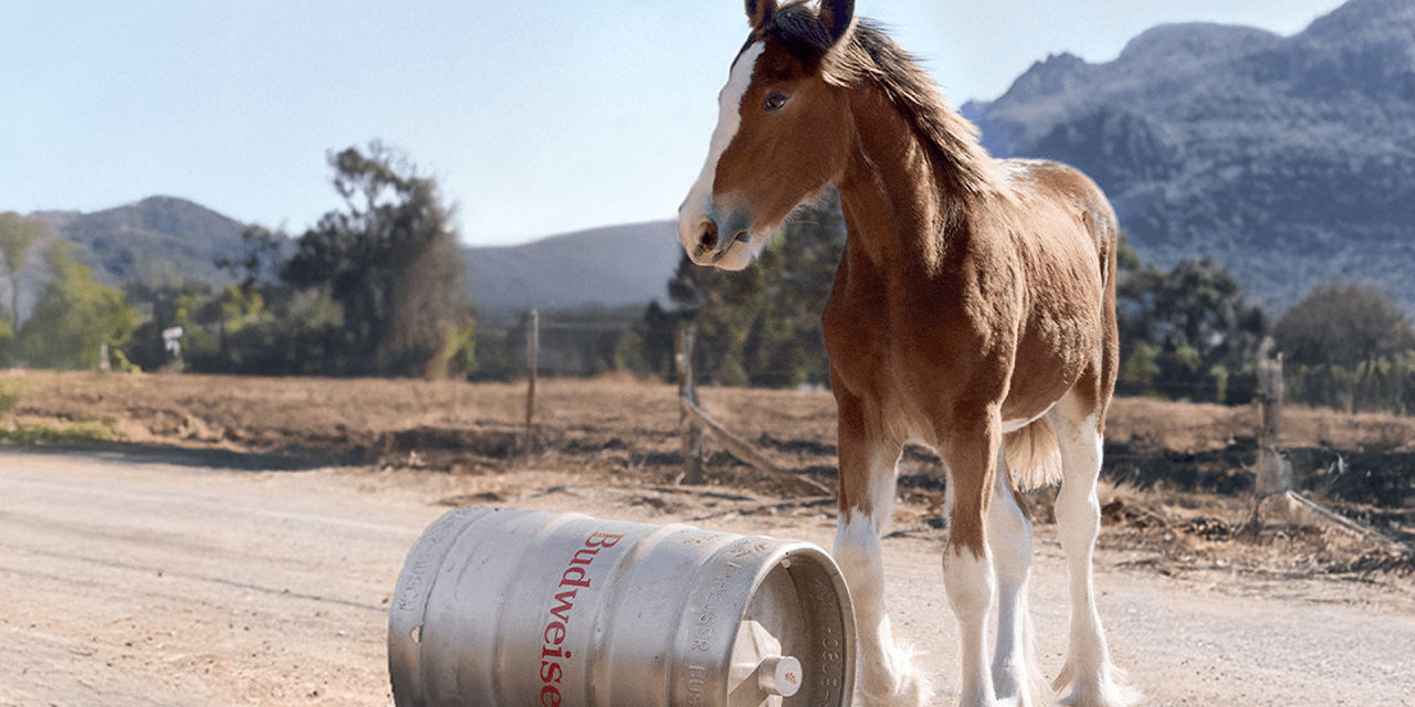 Super Bowl Ad Results: AI Can't Compete With Sentimental Stories