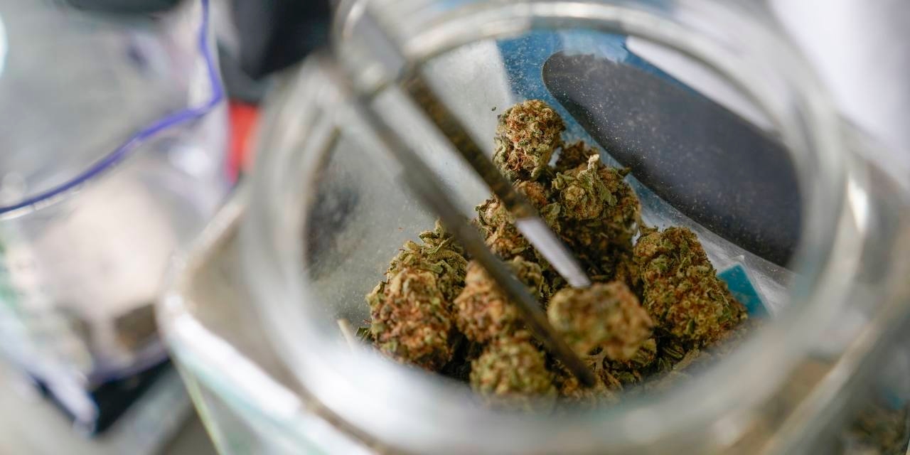 Trump Weighs Reclassifying Marijuana as Less Dangerous Drug