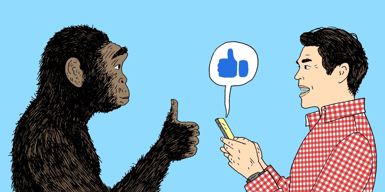Humans Evolved to Like ‘Likes'