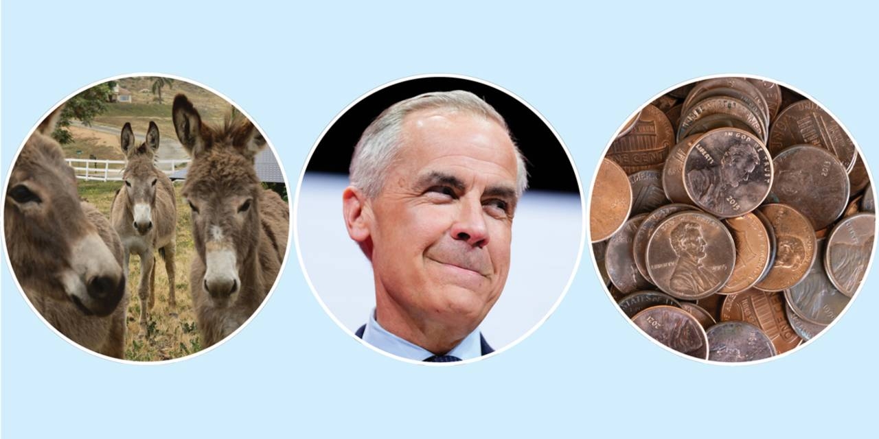 News Quiz for May 3, 2025