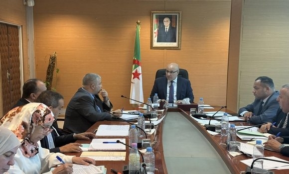 تجارة: السيد زيتوني يشدد على ضرورة تعزيز آليات التوزيع لضمان تموين السوق