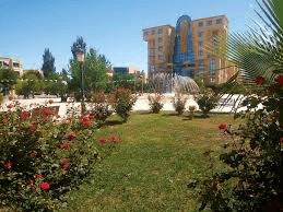 جامعة الجلفة تناقش 70 مذكرة تخرج