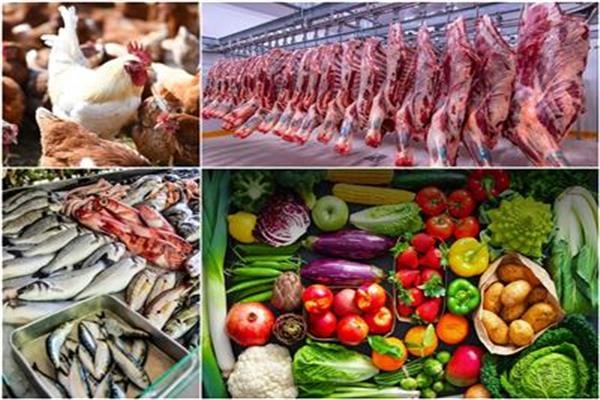 أسعار الأسماك والخضروات والدواجن اليوم 23 يونيو