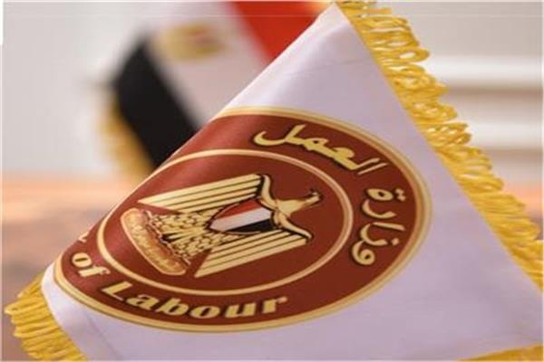 برواتب 11 ألف جنيه.. «العمل» توفر 1787 وظيفة بمشروع «الضبعة النووية»