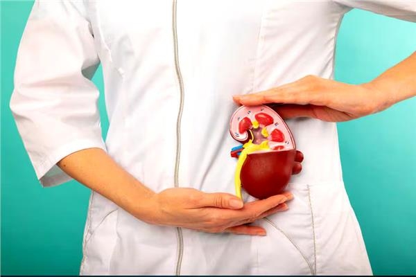 تظهر ليلًا.. 5 علامات تشير لمشكلة في الكلى