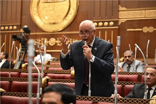 عضو باللجنة العامة لل «الشيوخ»: : مصر تتحرك بدافع أخلاقي وقومي لدعم غزة